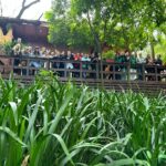 Misión(es) Óga reunió a educadores para fortalecer el vínculo entre escuela, biodiversidad e identidad misionera
