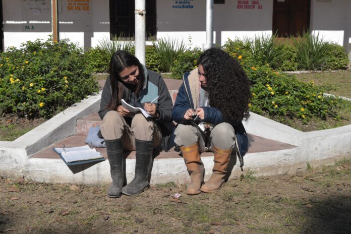 Proyecto para diseñar un dispositivo común de evaluación para escuelas preuniversitarias
