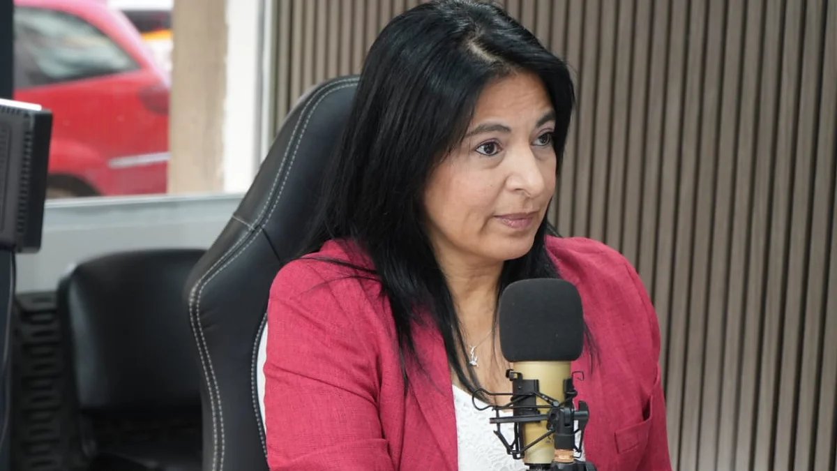 Corrientes trabaja en un proyecto para crear una universidad provincial